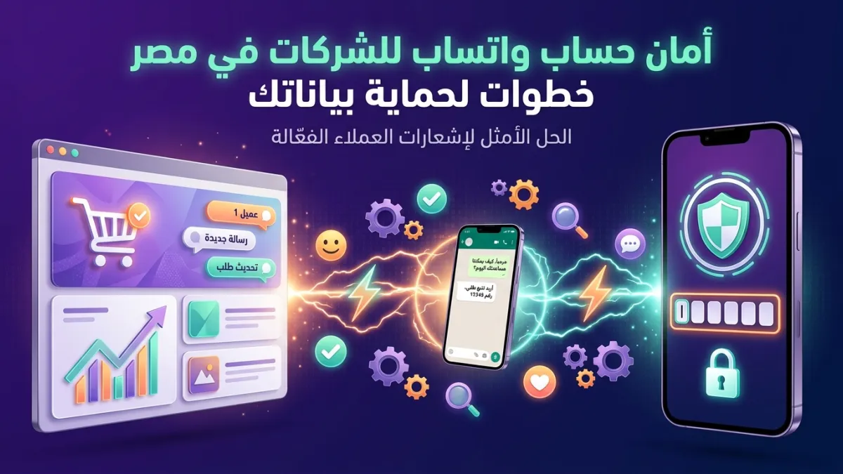أمان حساب واتساب للشركات في مصر خطوات لحماية بياناتك